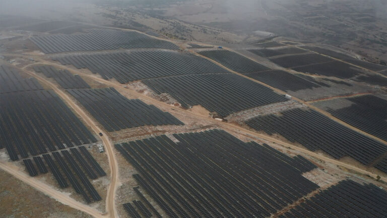 Cero Generation Delfini Solar Project