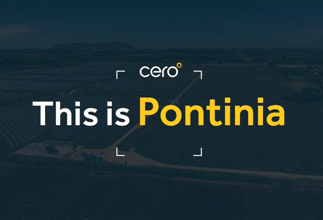 This is Pontinia