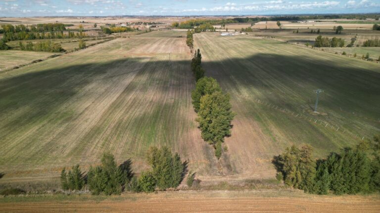 Palencia Spain